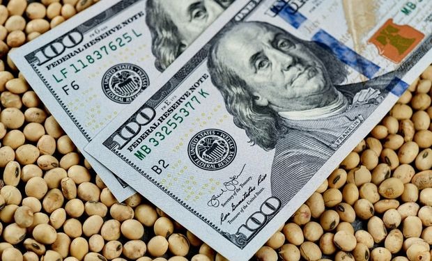 Los bancos prestaron al agro un total de US$ 2662 millones, mientras que el financiamiento en dólares creció
