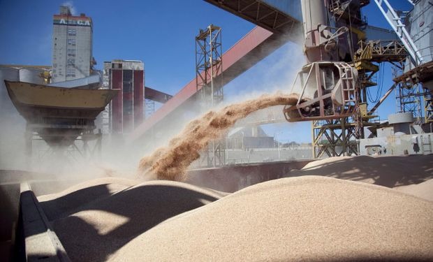 Las exportaciones del complejo soja tocan el máximo desde 2019