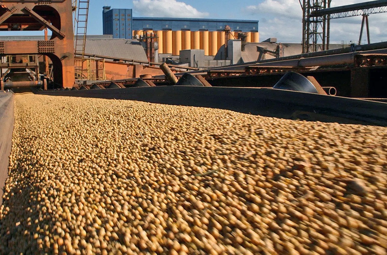 Los vaivenes de la soja: crece fuerte en exportaciones, pero con precios que no paran de caer