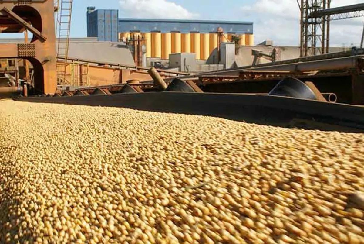 El 2025 del agro con exportaciones en baja: los menores precios pesan más que la mayor cosecha
