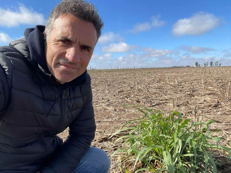 Ioele: La Sequía y el Estrés Hídrico Amenazan a los Cultivos