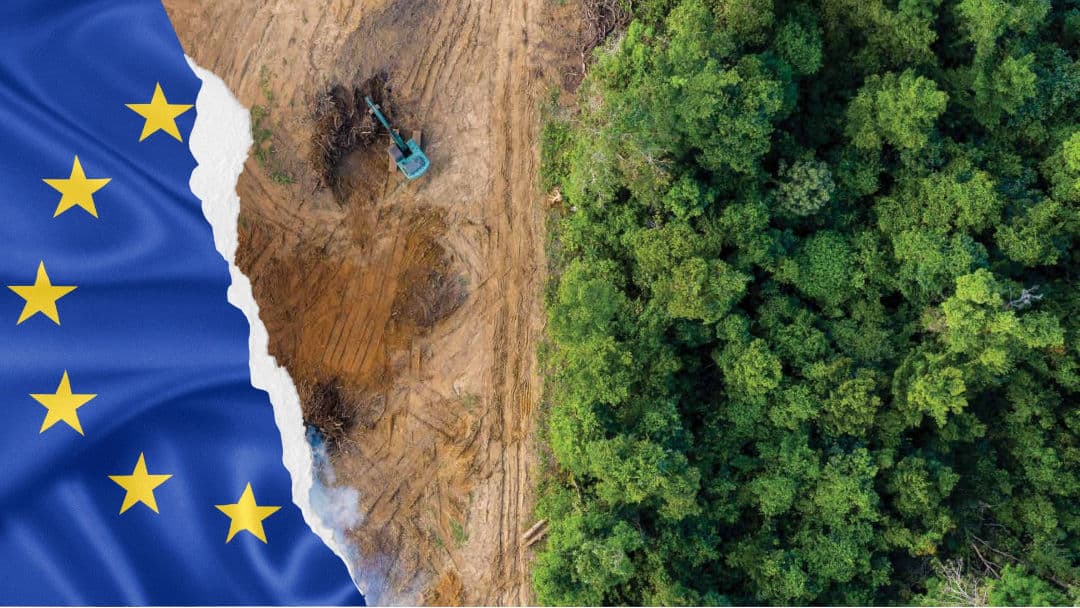 El agro argentino desafía la normativa antideforestación de la UE: