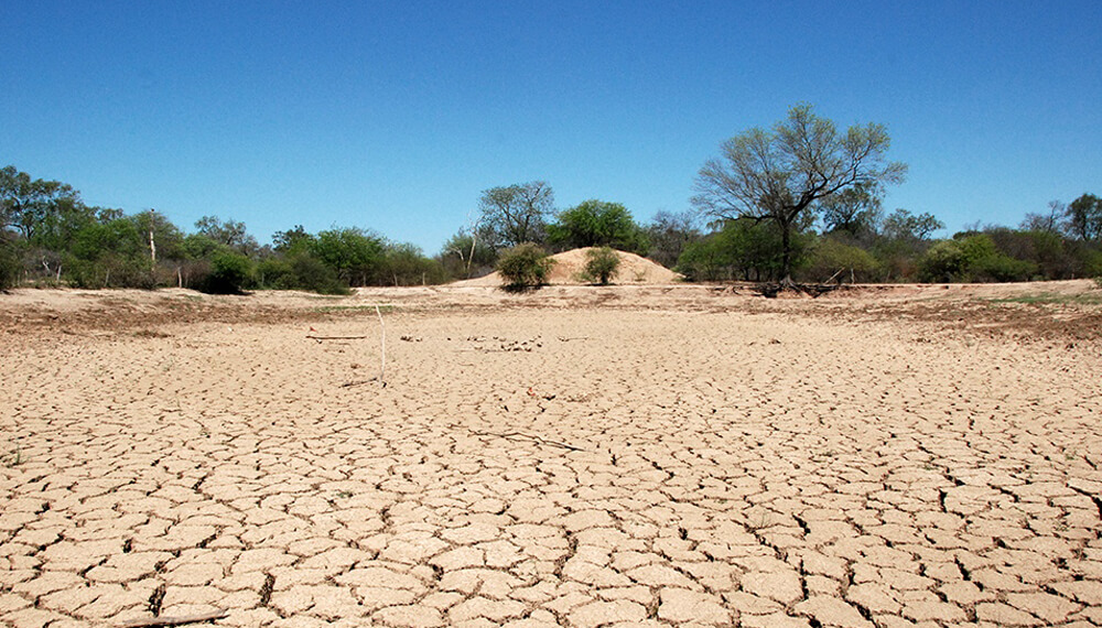 Productores de Formosa exigen la declaración de emergencia agropecuaria por sequía