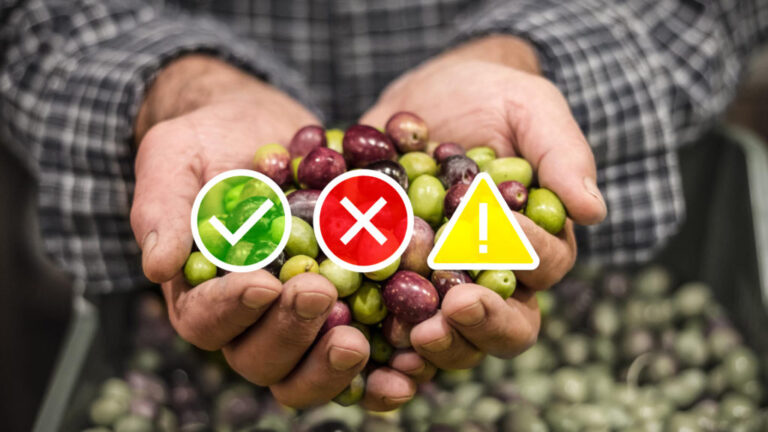 Economías Regionales: El semáforo de Coninagro refleja un panorama preocupante