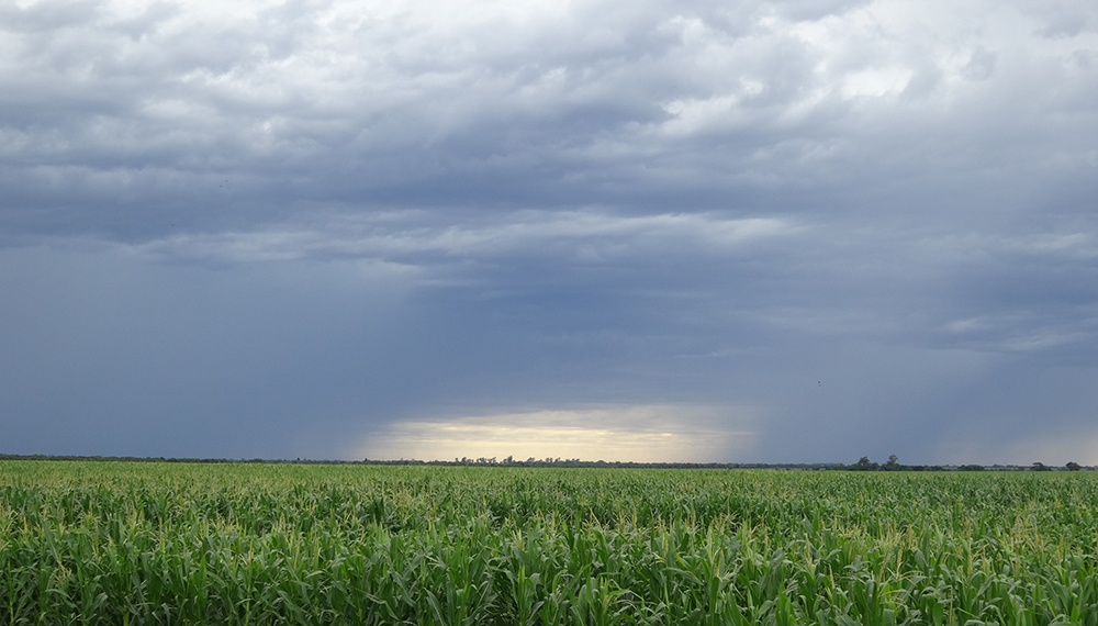 Inmobiliario rural: un mercado que sigue los vaivenes del clima