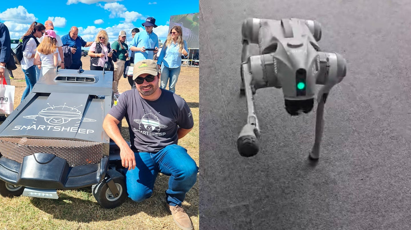 Un perro robot persiguió a una oveja y revolucionó al agro argentino
