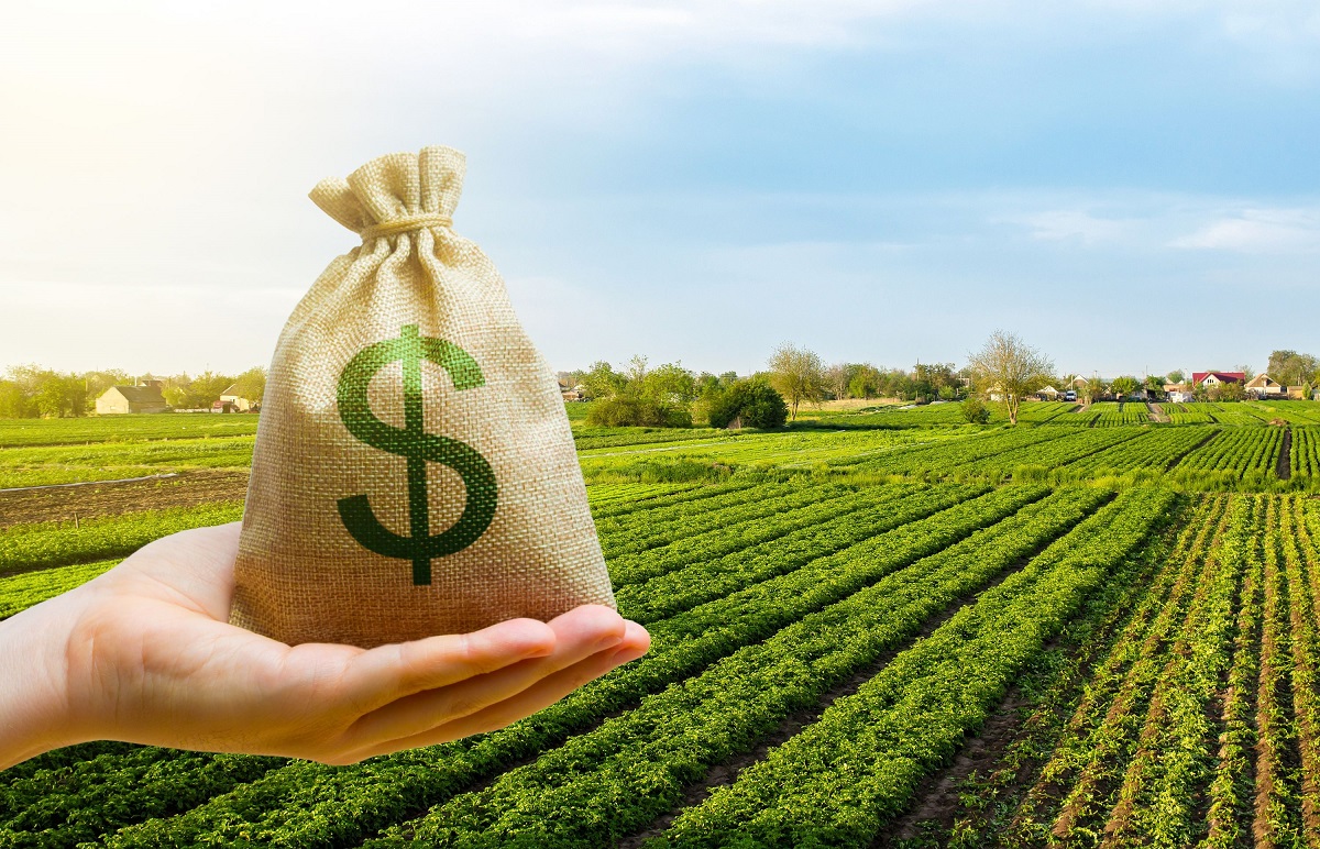En Córdoba, el 25% de los préstamos bancarios se destinan al sector agropecuario