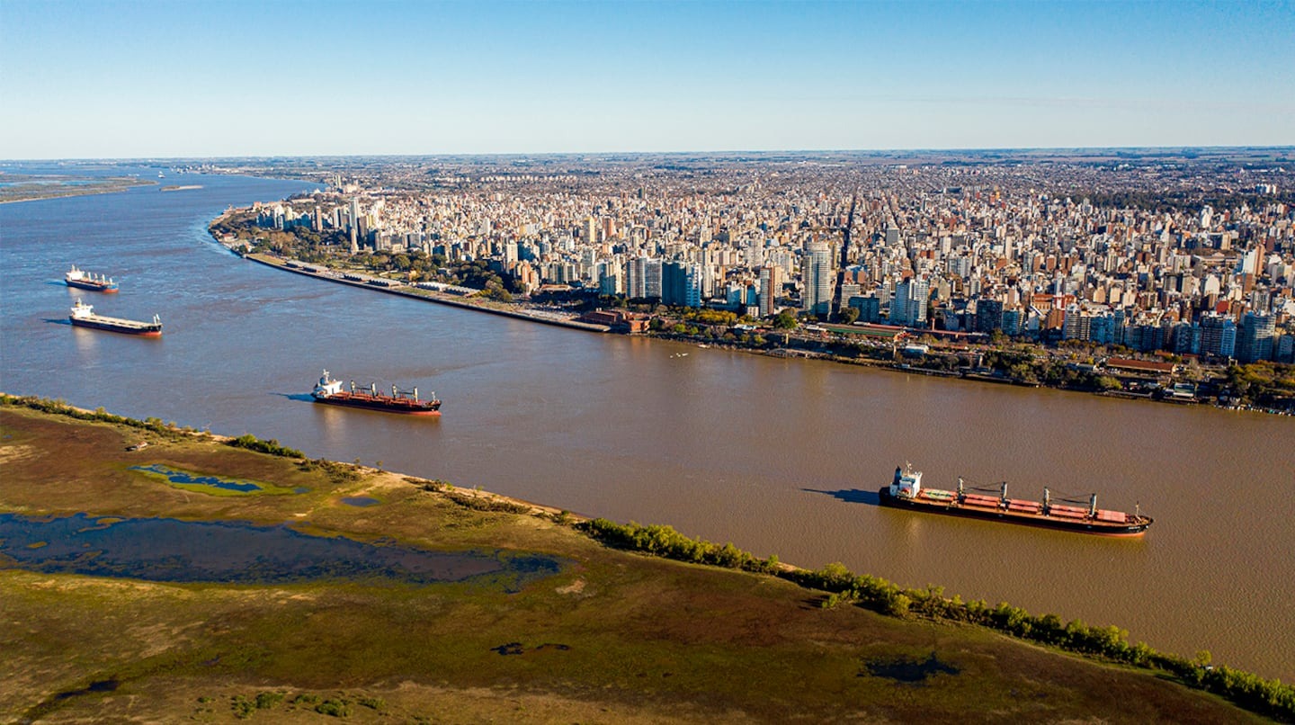 Las exportaciones argentinas a Italia crecieron un 35% en 2024 y alcanzaron su máximo de 7 años