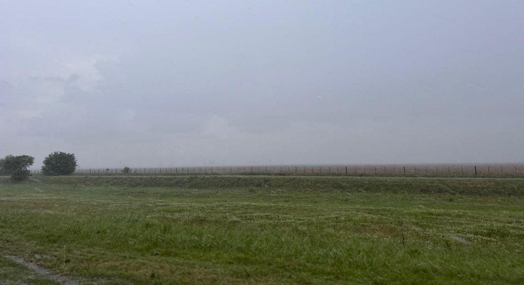 Pronóstico de buen tiempo para retomar la cosecha tras las lluvias moderadas en la región núcleo