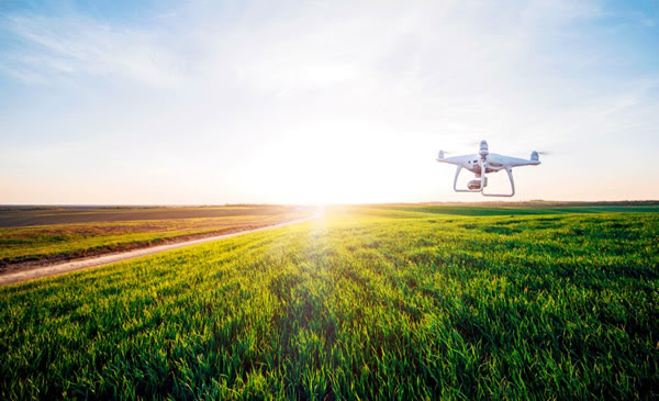 Fertilidad 2025: La tecnología es clave para una nutrición de cultivos eficiente
