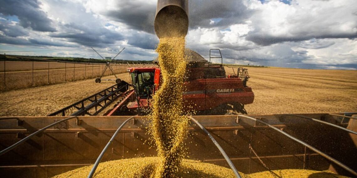 Super cosecha: Argentina podría alcanzar en 2035 las 251 millones de toneladas