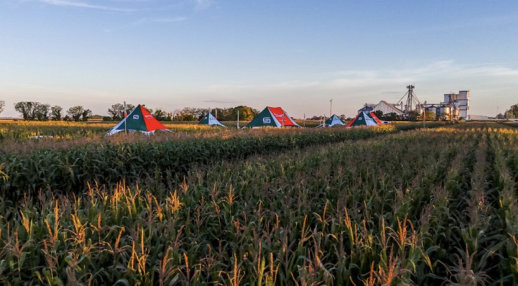 “SupraRoad” hizo camino, atravesando miles de hectáreas de maíz

