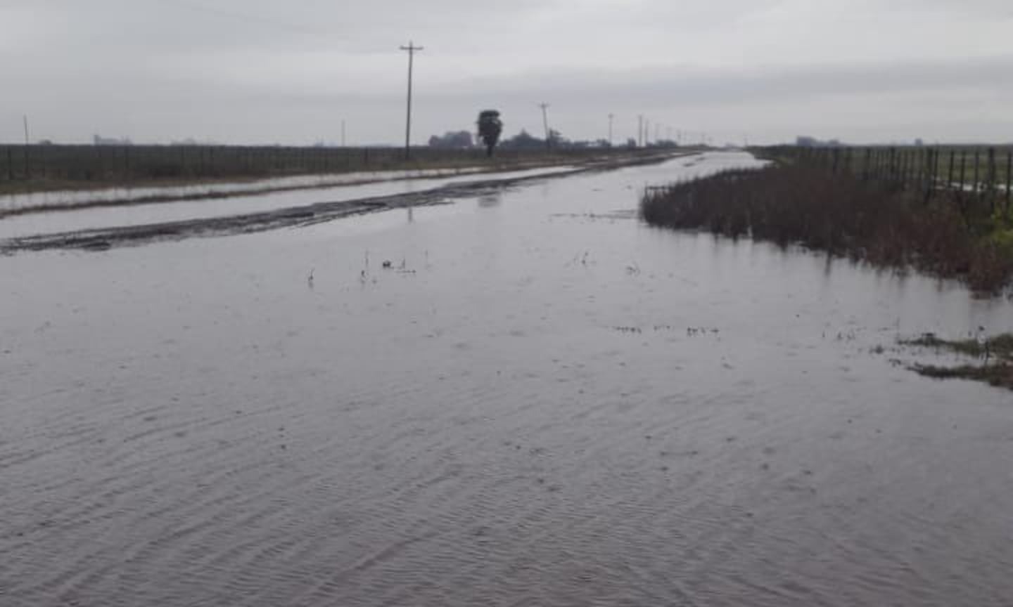 El agua paralizó el avance de la soja en el noreste de Buenos Aires