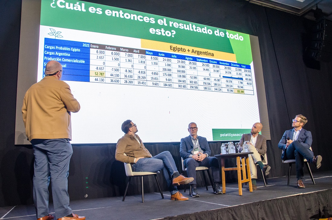 El poroto argentino en la encrucijada: competir, unir y adaptarse o perder el mercado global