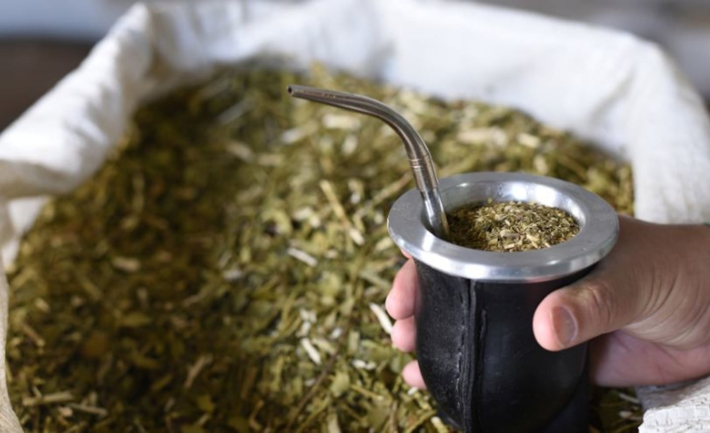 Buscan eliminar el INYM: proponen disolver el ente yerbatero y girar sus fondos a la agroindustria