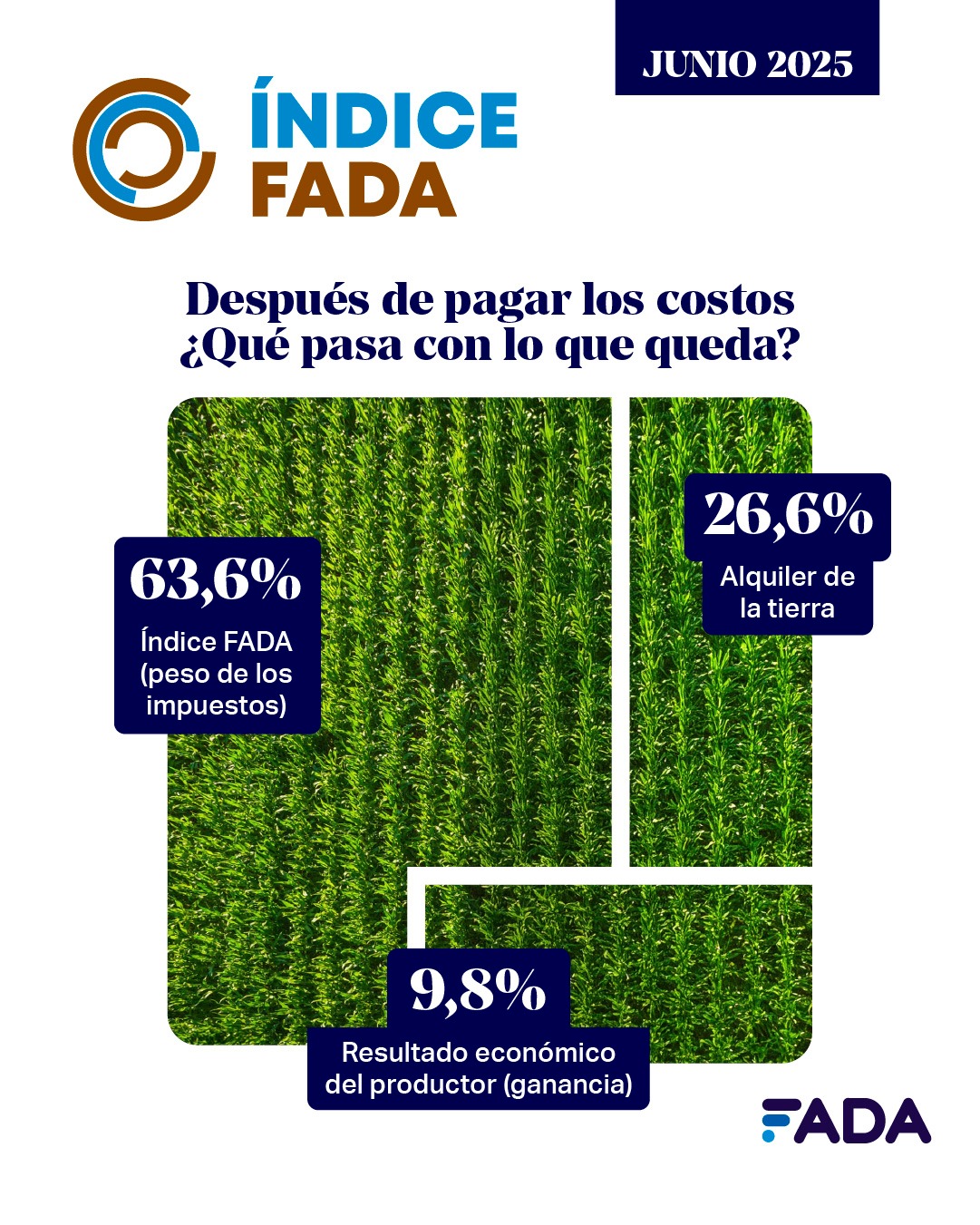 Después de pagar los costos ¿qué pasa con lo que queda? 63,6% es para pagar impuestos