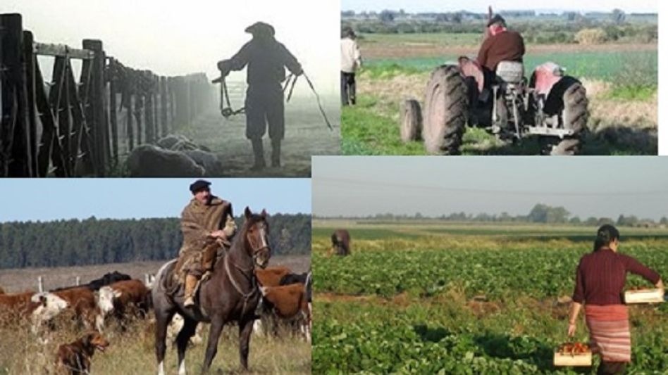 El agro responde con producción, pero necesita condiciones