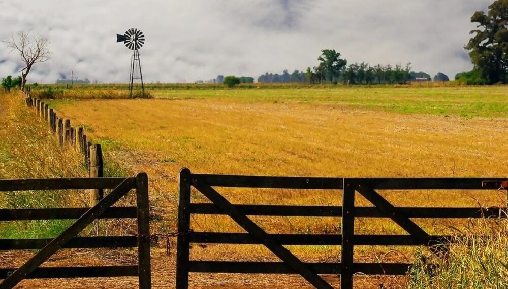 Cultivar la tierra en Argentina, un negocio de “terceros”