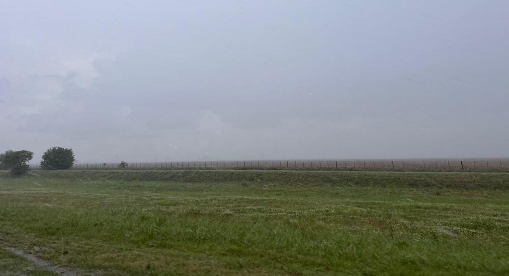 Cuál fue el impacto en el campo de las lluvias del fin de semana