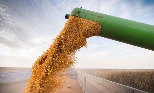 “El campo ya liquidó más de US$ 21.000 millones en 2025, pero agosto encendió las alarmas”