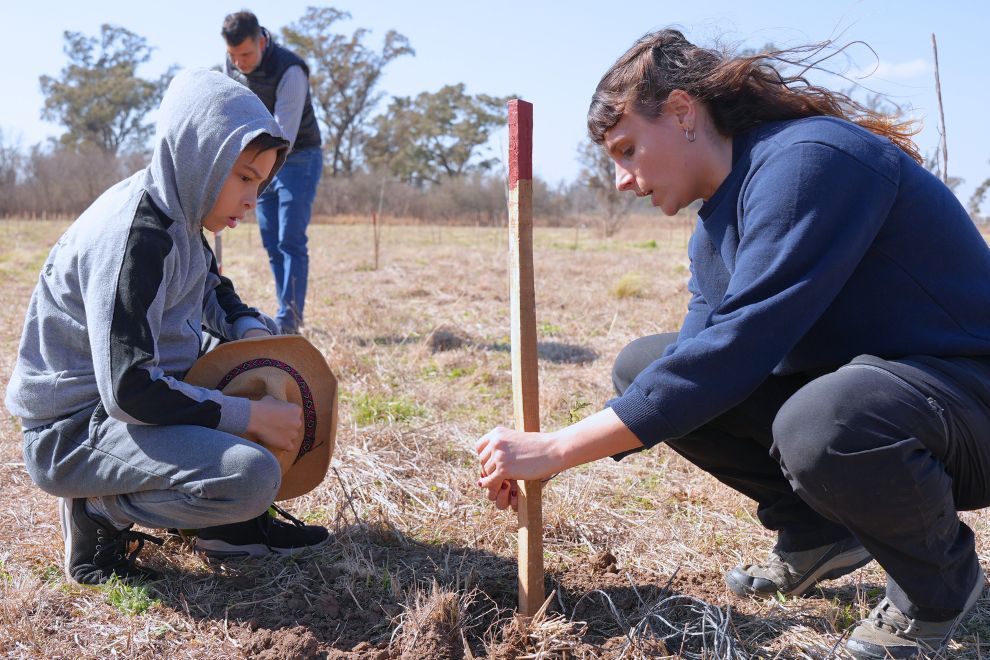 Campaña de forestación: En Córdoba crecerán 100 mil árboles nativos