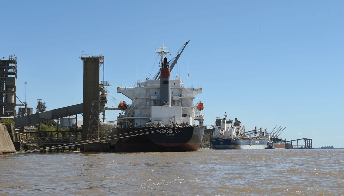 Agosto “histórico”: el trigo argentino marcó récord de exportaciones en un mes atípico