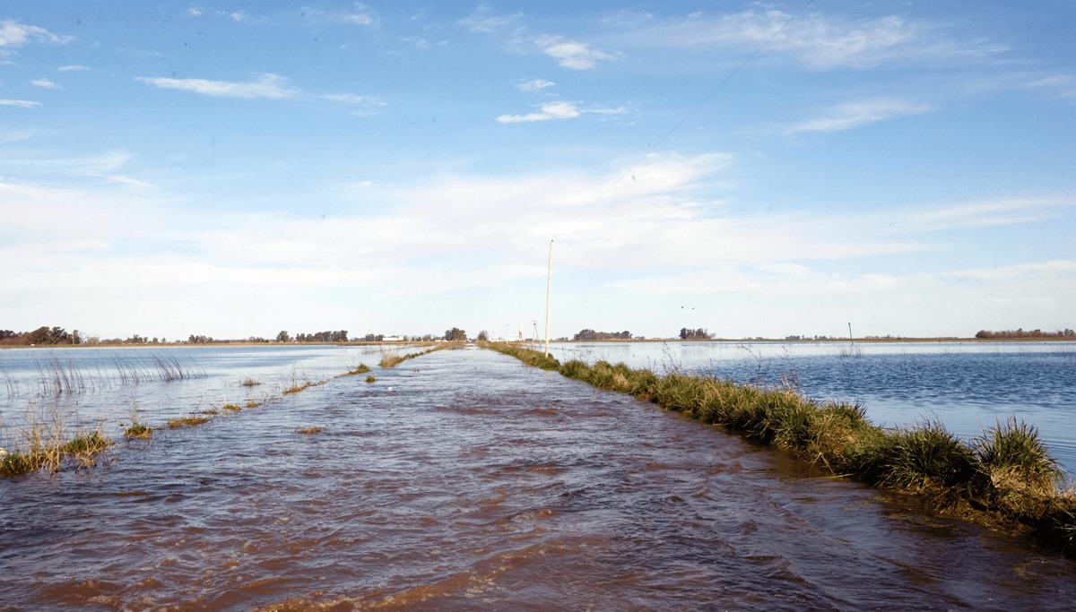 Inundaciones en Buenos Aires: más de 3 millones de hectáreas bajo agua y la vida rural paralizada