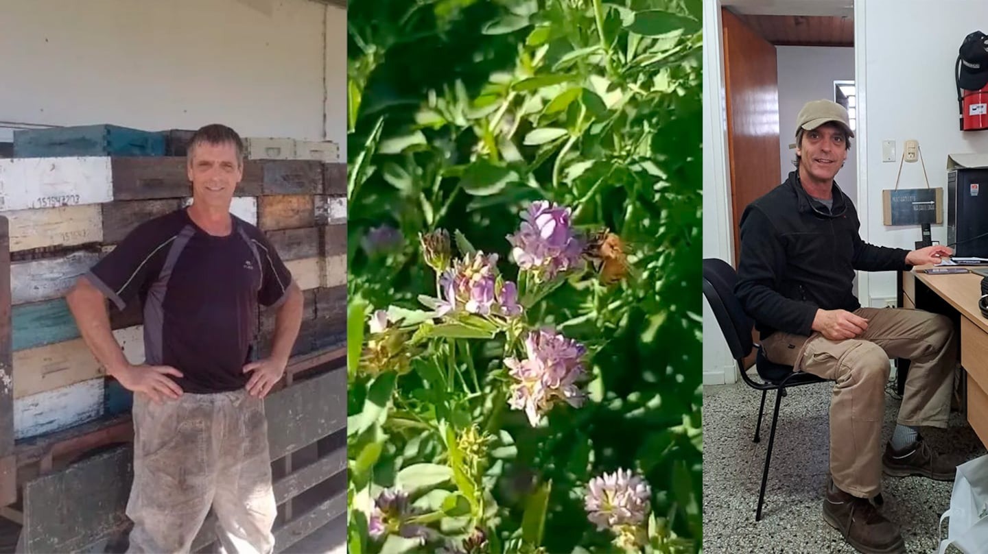 Revolución en el campo: el argentino que apostó todo por las abejas, produce miel sin antibióticos y es furor
