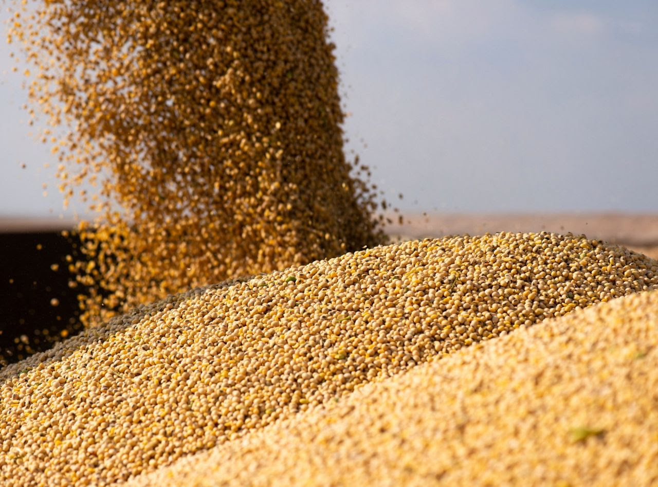 Seminario ACSOJA 2025: un encuentro abierto para pensar el futuro de la soja y la agroindustria