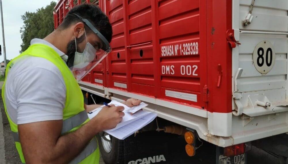 El Senasa autoriza el uso de bitrenes para el traslado de hacienda y productos de origen animal