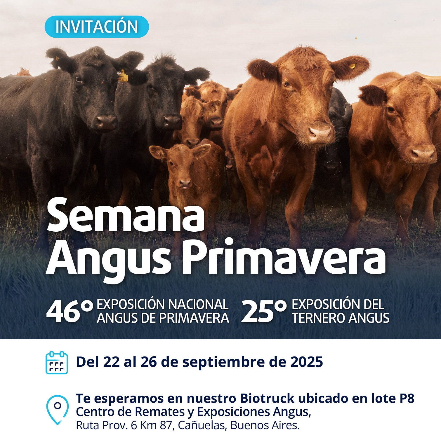 Biogénesis Bagó en la Semana Angus de Primavera