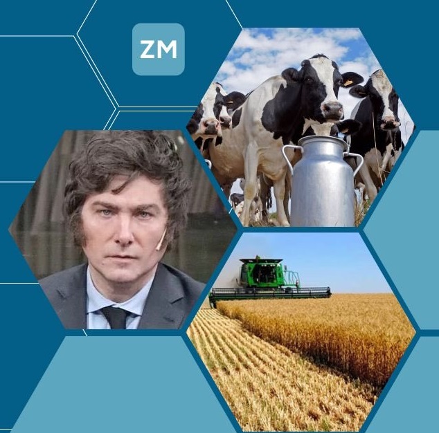 La macro en la micro en el informe mensual Zorraquín-Meneses
