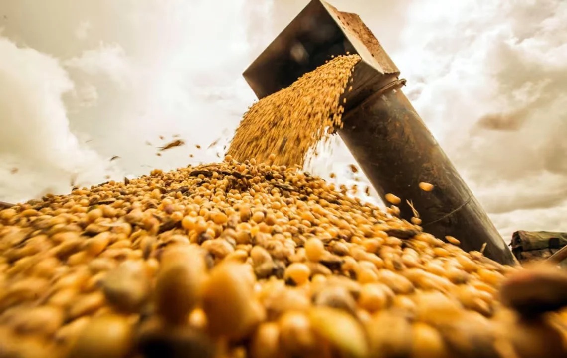 Nuevo giro económico: el Gobierno elimina las retenciones a los granos hasta fines de octubre