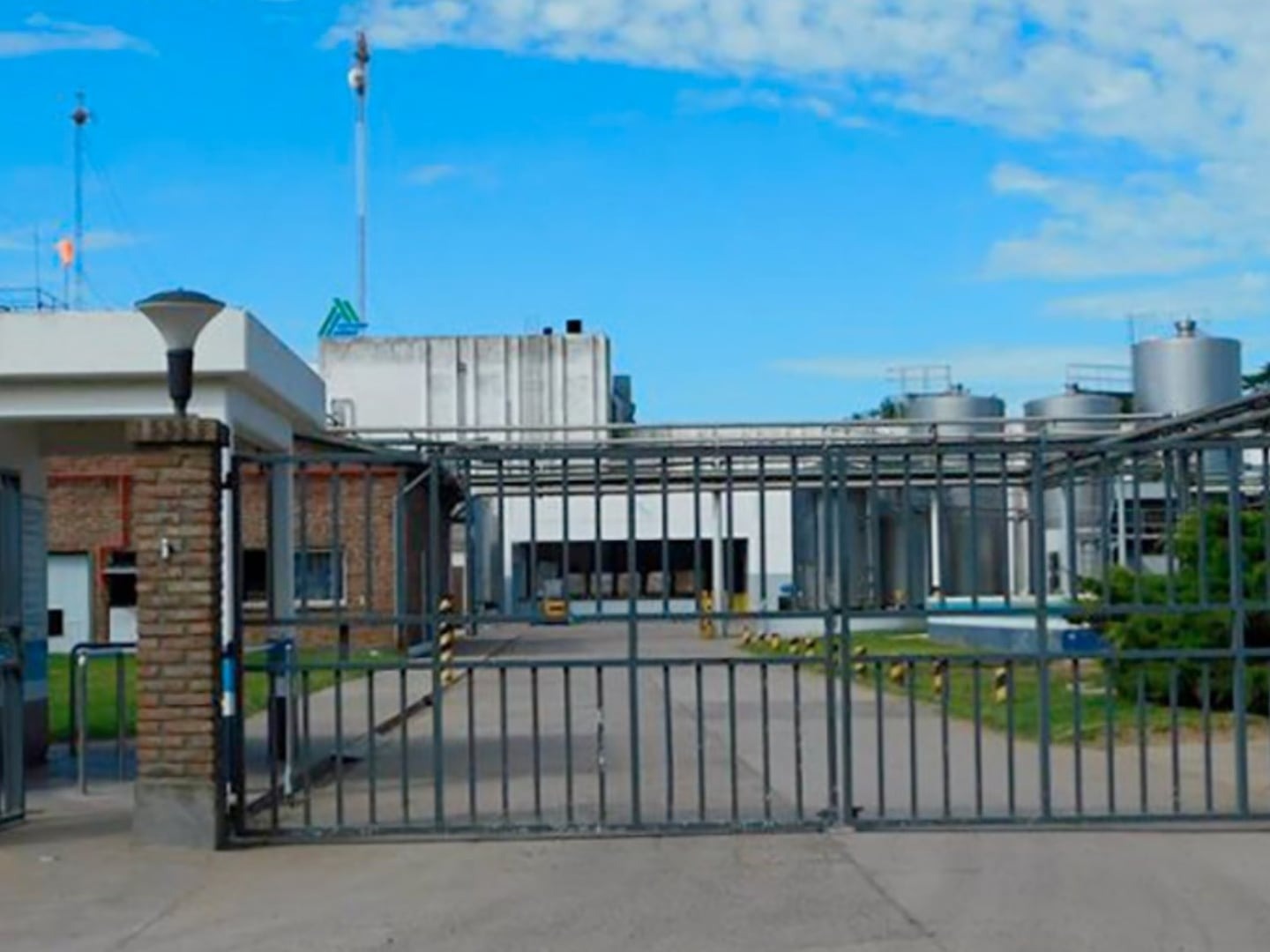 Fin de una era: la Justicia decreta la quiebra de la firma que fabricaba postres y yogures SanCor