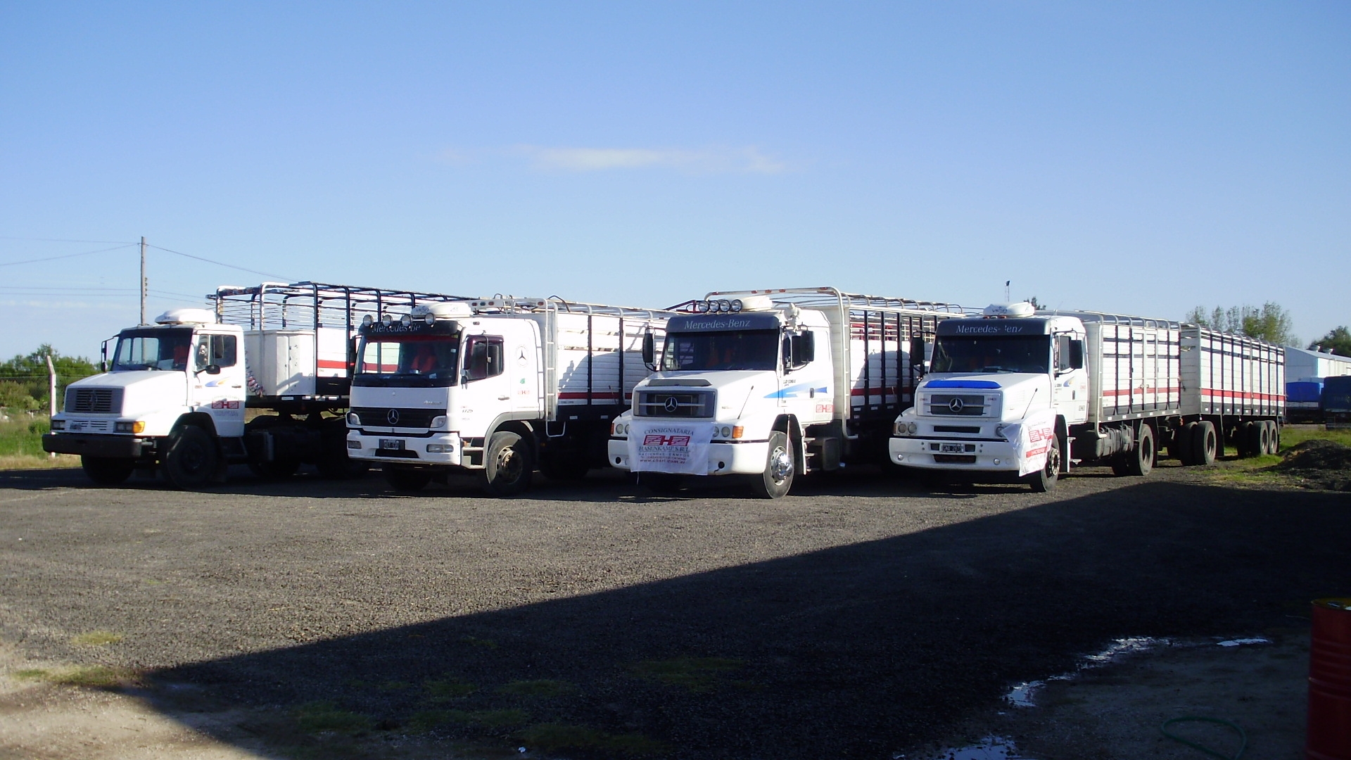 Crecen los municipios de Córdoba que eliminan el cobro de guías de hacienda