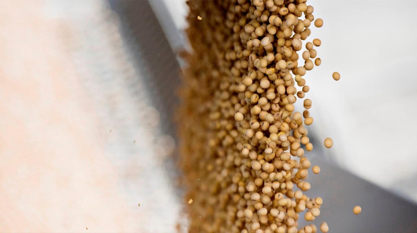 La soja alcanza $500 mil por tonelada en Rosario tras 5 días de caída