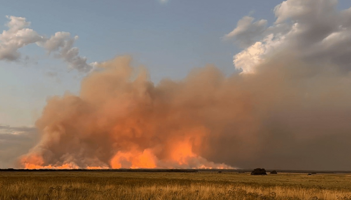 Incendios en La Pampa: un desastre que ya arrasó 140.000 hectáreas