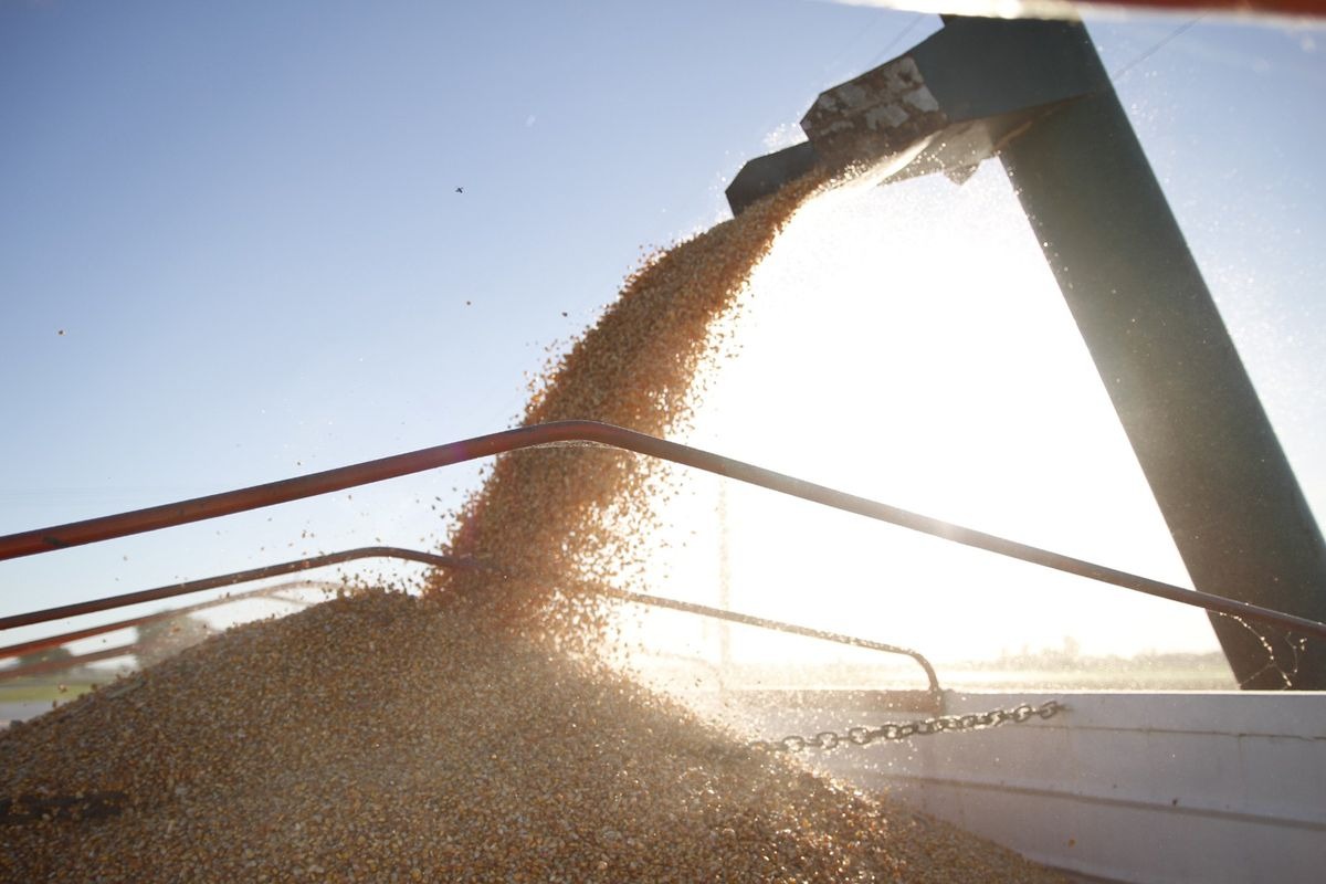 El agro argentino impulsa las exportaciones con un récord de US$ 50.000 millones en 2025