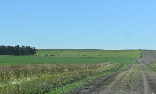El mercado inmobiliario rural cerró 2025 con una caída en la compra y venta de campos