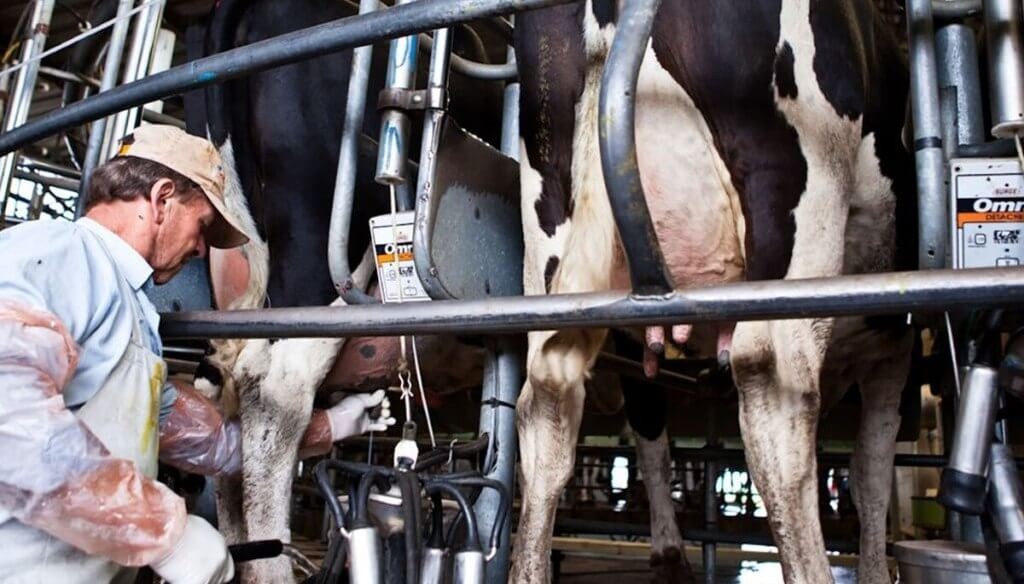 CRA critica a la industria láctea por aprovechamiento de productores