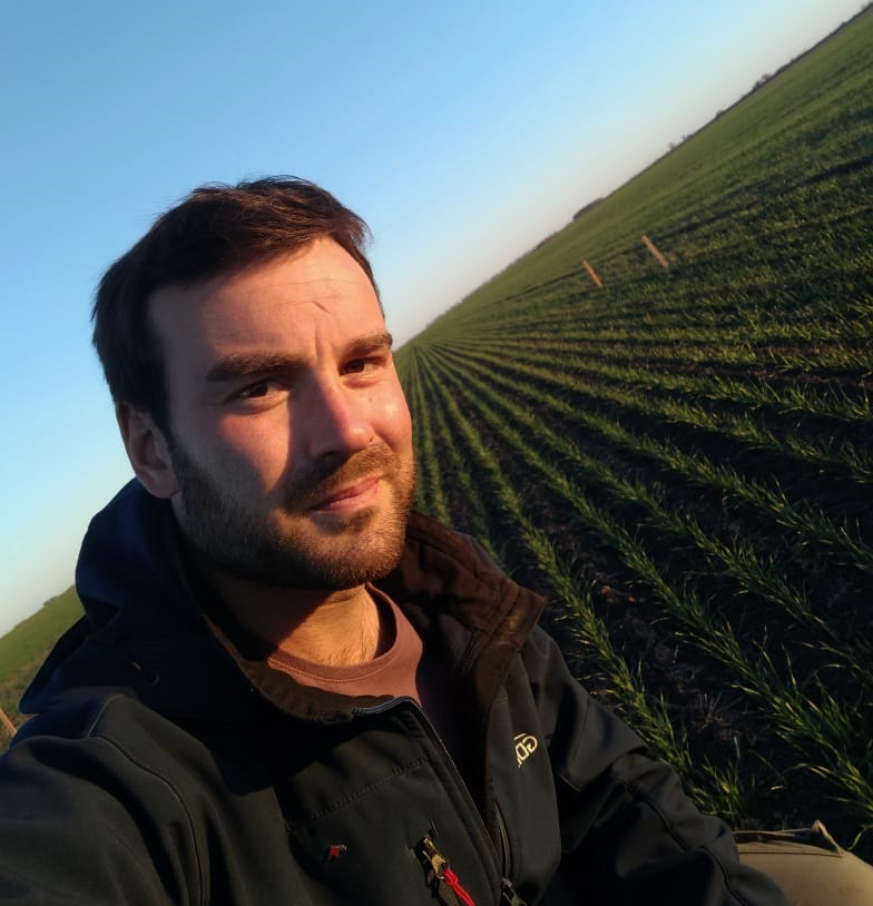 DONMARIO MÁS 2026: Cinco lanzamientos estratégicos y claves de manejo para 