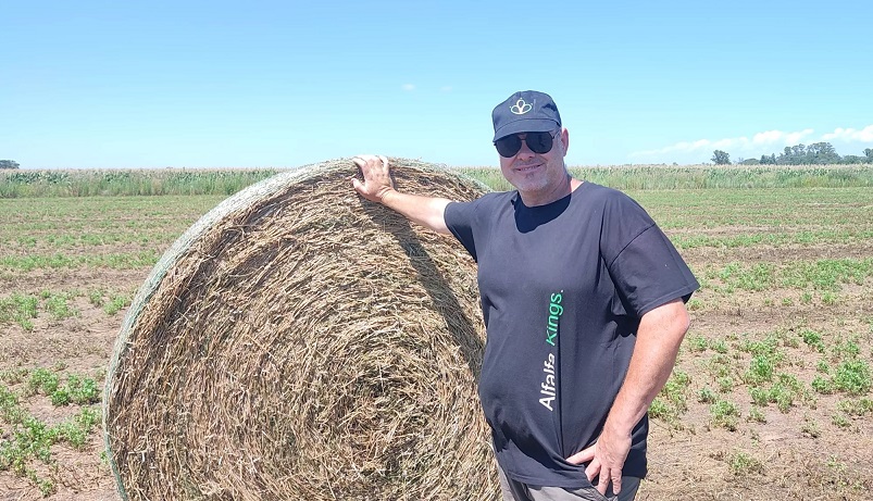 Alfalfa fuera de escala: lograron más de 10 toneladas por hectárea en un solo corte