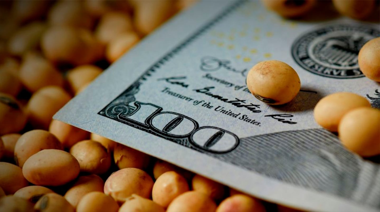 Presionada por la baja del dólar, la soja tuvo una pérdida semanal de $10.000 por tonelada en Rosario