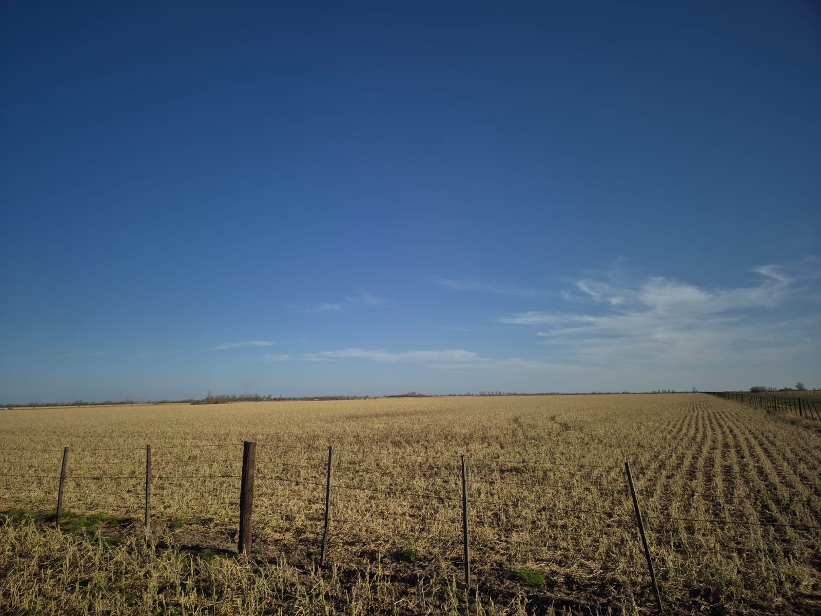 Tormenta en el sudoeste de Santa Fe: más de 21 mil hectáreas con daños superiores al 80% en soja y maíz
