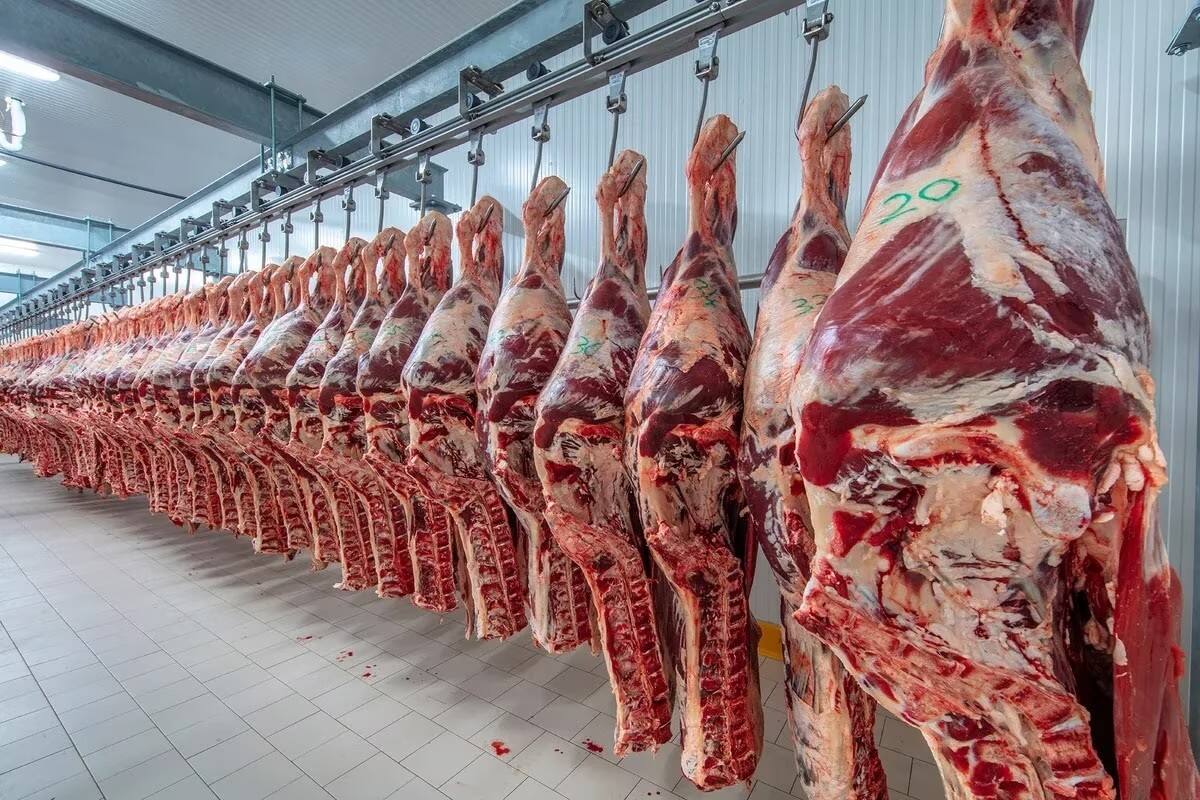 La carne argentina más cerca de conquistar el mercado japonés