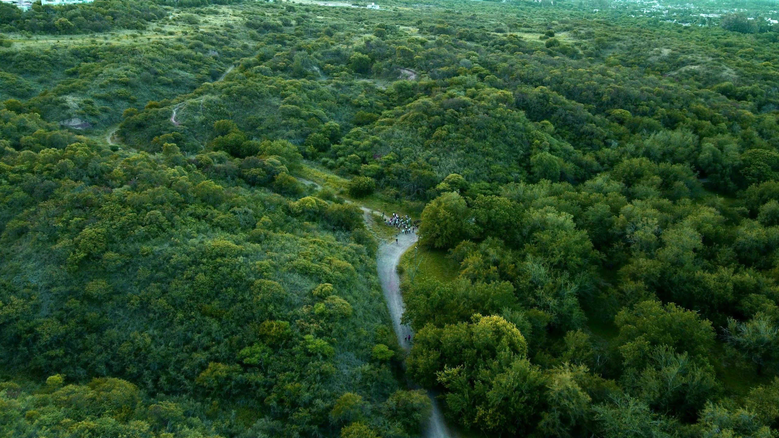 Extienden convocatoria del Programa de Pago por Servicios Ambientales en Córdoba para la conservación del bosque nativo
