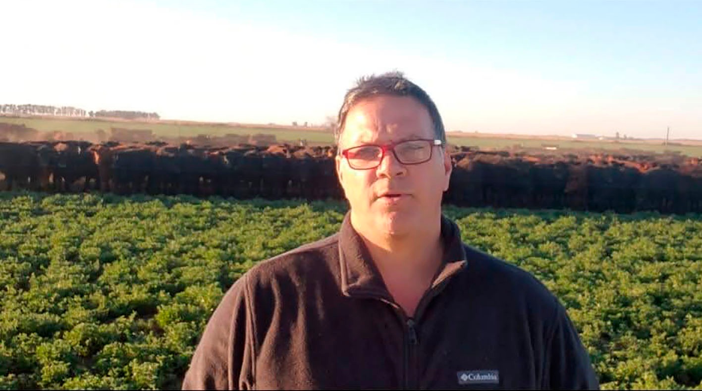 Guillermo Vitelli y el desafío de las 300 millones de toneladas: “Tiene que correr un Amazonas por debajo del puente”