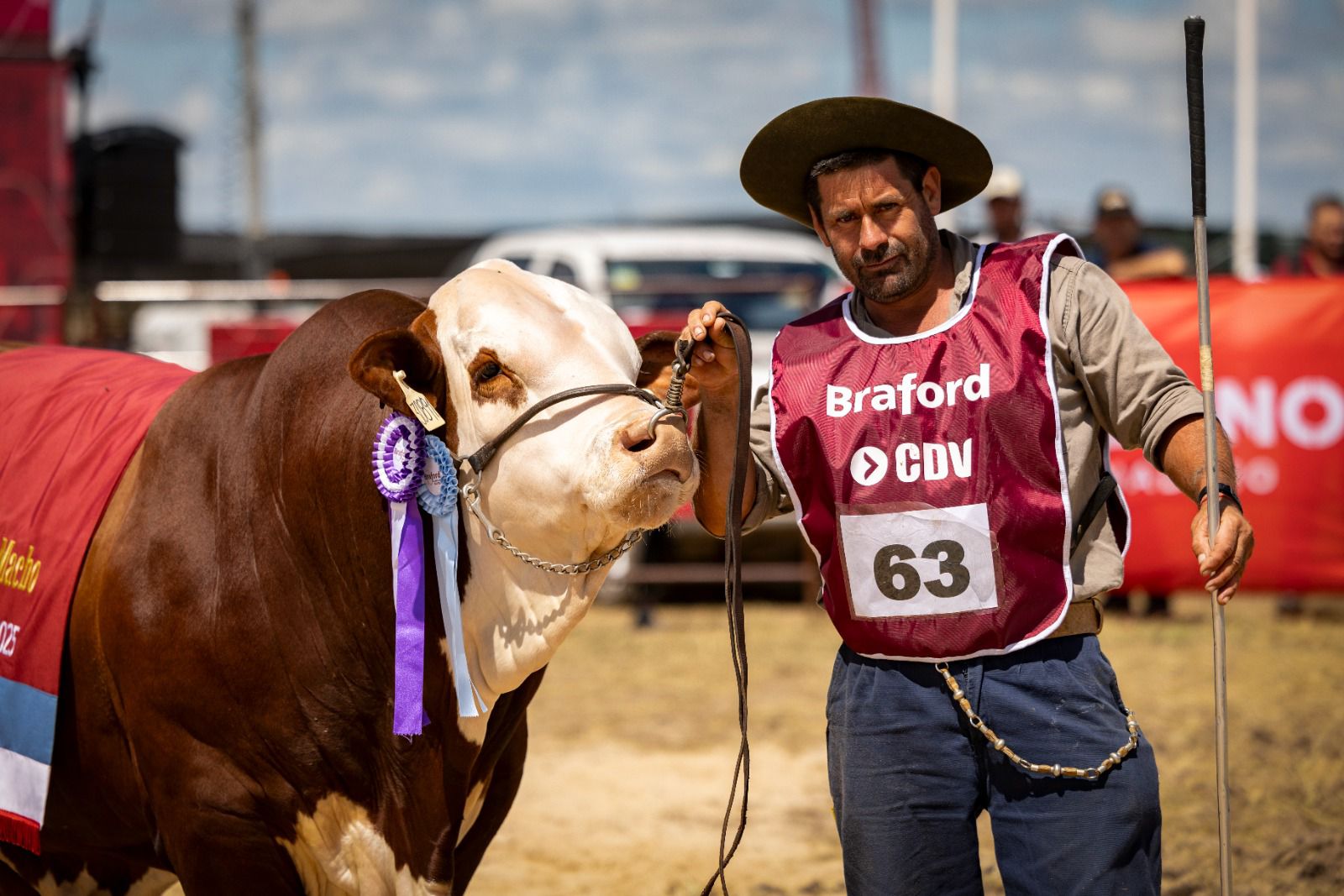 La raza Braford despliega su potencial en Expoagro 2026