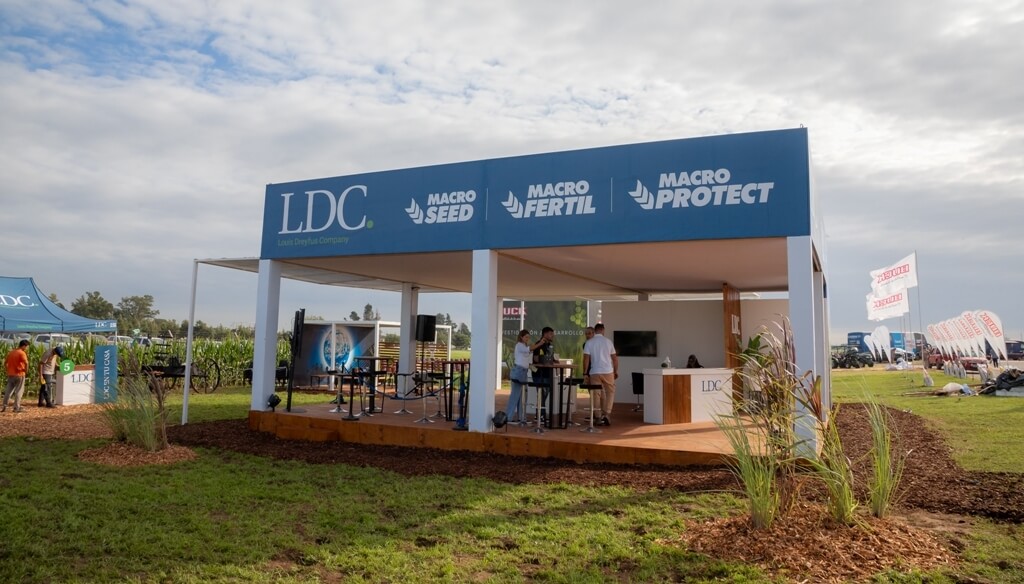 La Camelina impulsa un crecimiento inesperado en Argentina