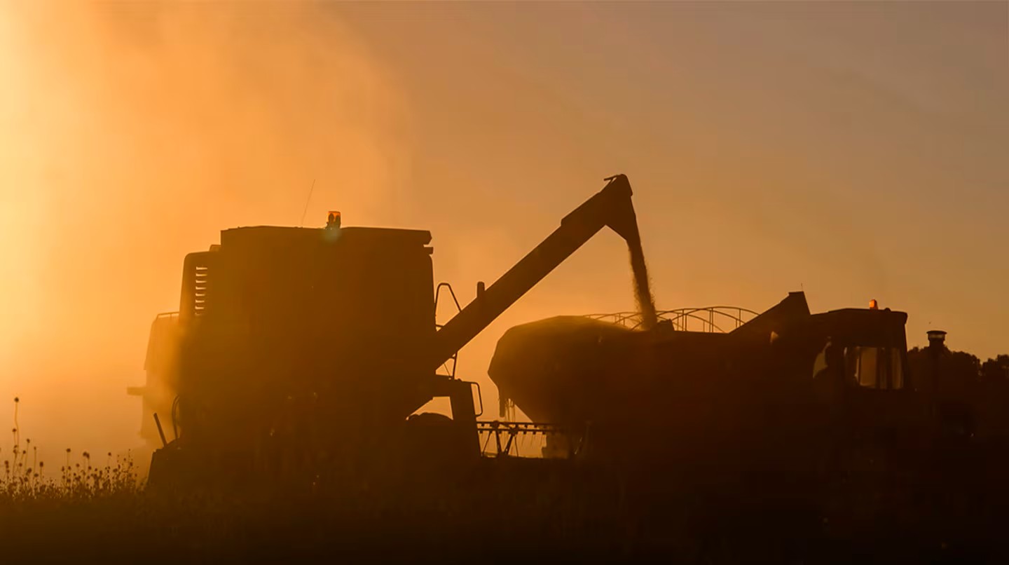 Grave denuncia de la Sociedad Rural en Argentina: 